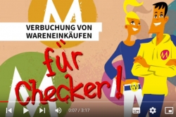 Erklär- und Einstiegsvideos für Rechnungswesen
