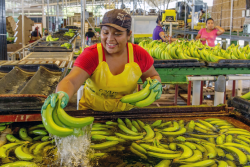 Die Herkunft der Produkte spielt bei FAIRTRADE eine große Rolle.
