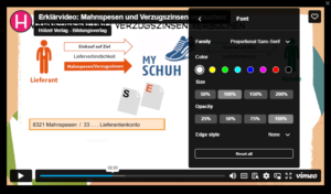 Screenshot: Erklärvideo mit eingeblendeter Farb- und Größenanpassung
